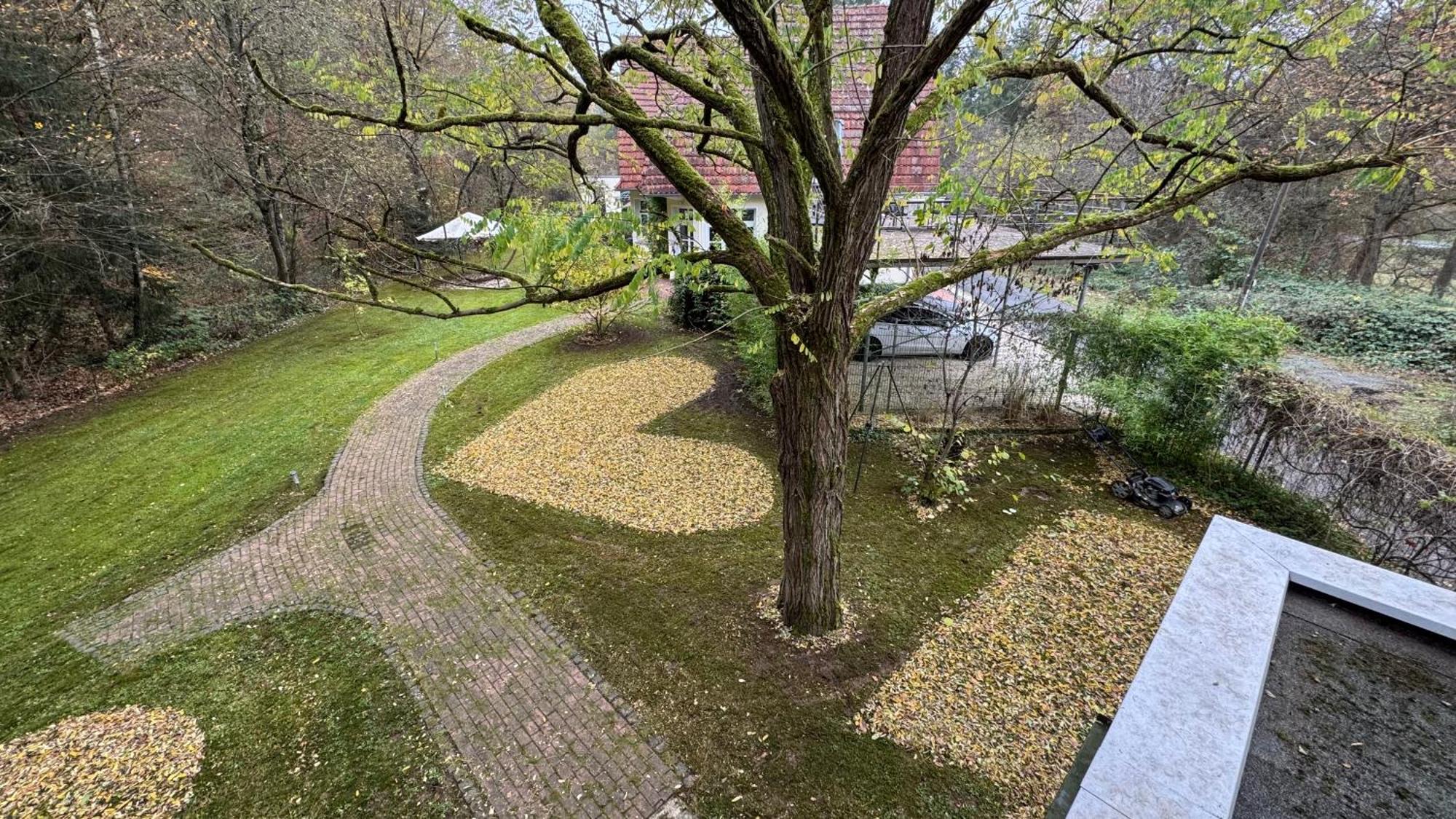 5 Sterne Bahnhoftraum, Appartement "Waldliebe" 133Qm, Grosse Terrasse 70Qm, Qr Code Scannen Fuer Virtuellen Rundgang, Premium Ausstattung Braunfels Dış mekan fotoğraf